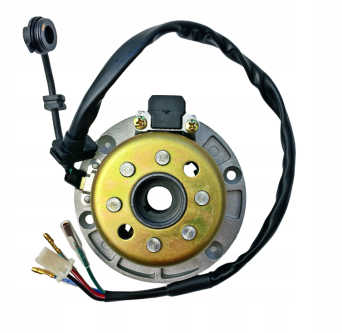 STATOR + MAGNETO DAYTONA YCF MRF KAYO - LEKKIE MAGNETO