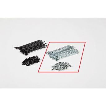 Szprychy 10' - 10.5 cm (32 szt.) YCF
