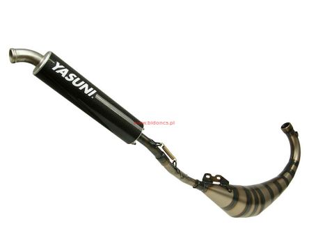 Wydech Yasuni R3 Carrera Carbon - Aprilia RS, Yamaha TZR