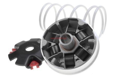 WARIATOR MALOSSI MULTIVAR, GY6 4T (139QMB / 139QMA)