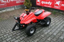 Quad LIFAN 50/110