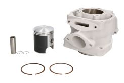 Cylinder Rotax 122 NICASIL APRILIA RS/RX 125