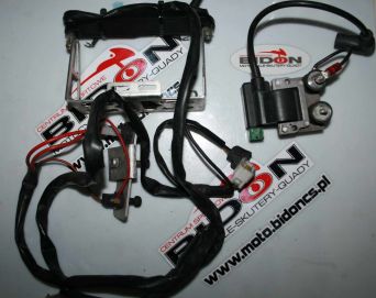 Instalacja Rotax Max Stary Typ