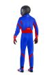 Kombinezon Sparco Thunder Advanced 8877-2022 - 14