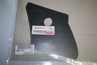 Naklejka na plastik prawy Yamaha Tzr 50