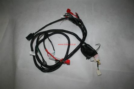 Instalacja elektryczna Zipp Quantum 2T